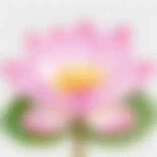 lotus flower png