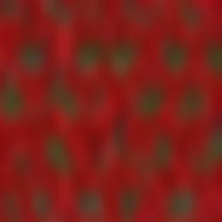 red flower bg