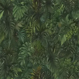 jungle png