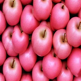 pink apple wallpaper