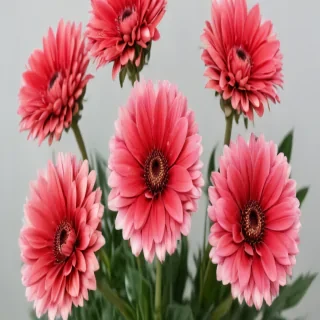 flower line