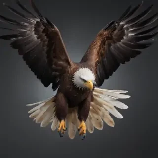 eagle flying png