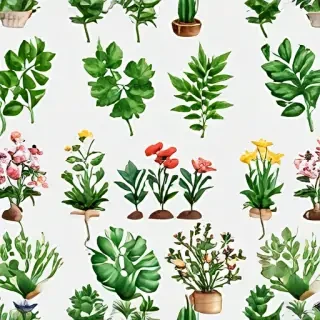plants transparent background