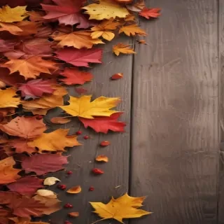 cute fall iphone wallpaper