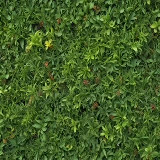 weeds png