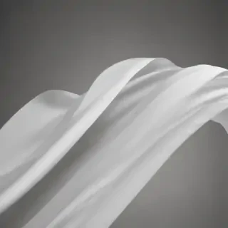 white line png