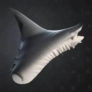 shark fin png
