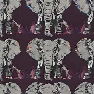 elephant background