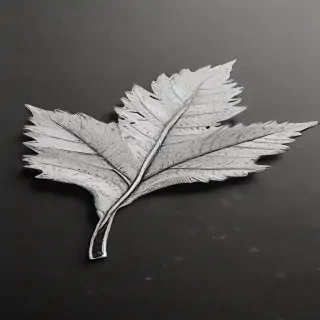 leaf doodle