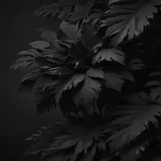 wallpapers black aesthetic