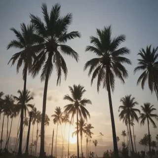 transparent palm trees