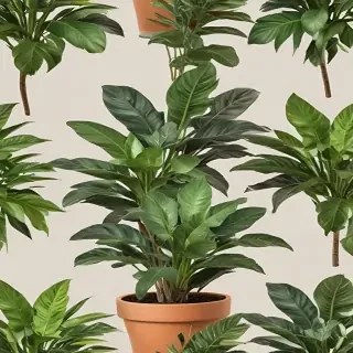 house plant png