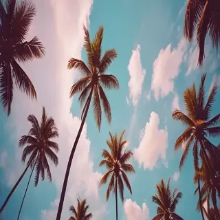 summer phone background