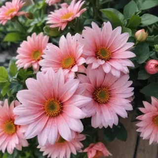 cute aesthetic flower wallpapers