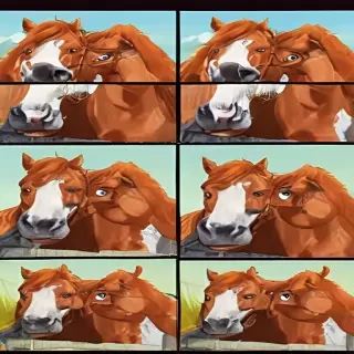 horses cartoon