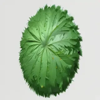 green png
