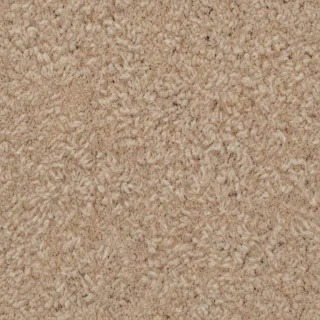 carpet png