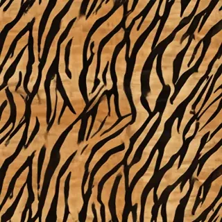tiger stripes png