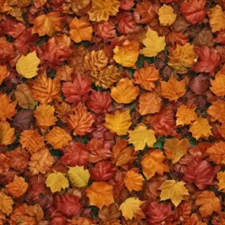 autumn leaves png