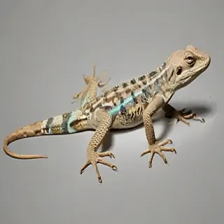 lizard transparent