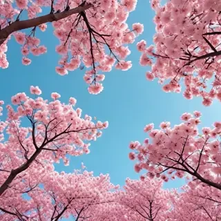 aesthetic spring wallpapers