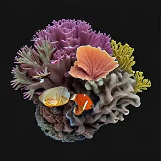 reef png