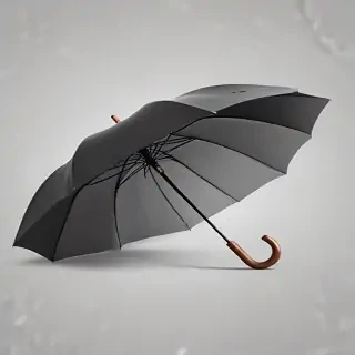 umbrella png