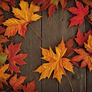 fall background wallpaper iphone