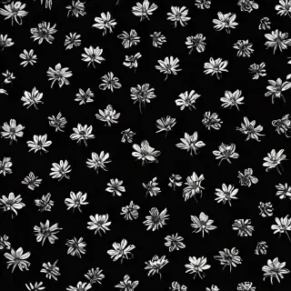 aesthetic wallpapers black