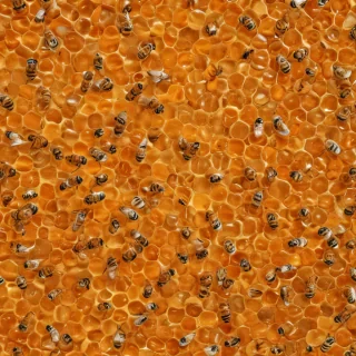 honey background