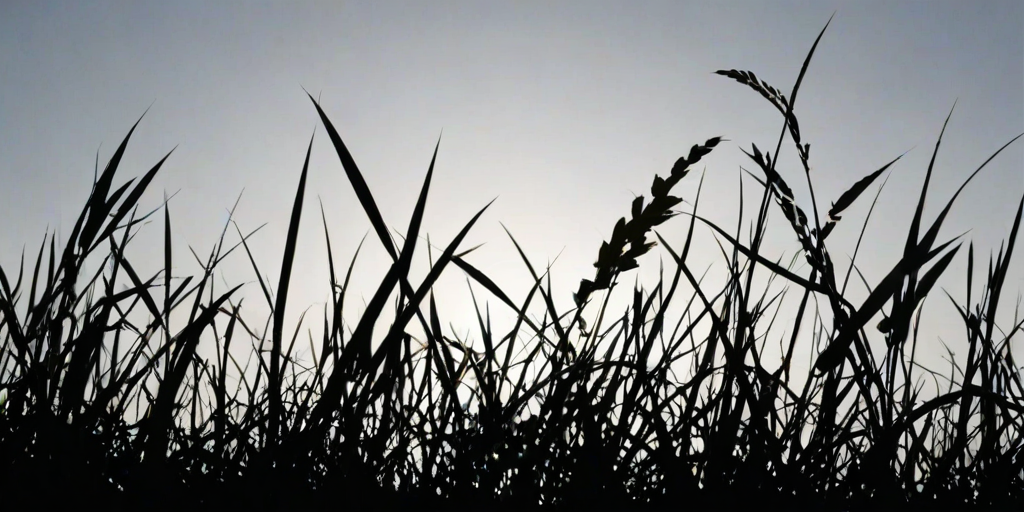 grass silhouette