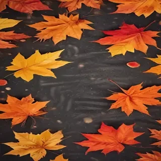 iphone wallpaper fall