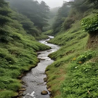 barbado da terceira