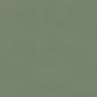 aesthetic sage green wallpapers