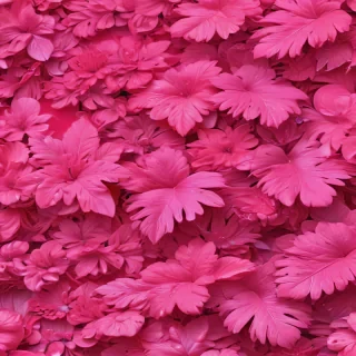 hot pink aesthetic wallpaper
