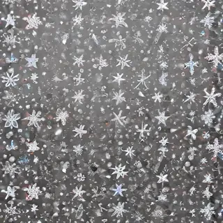 merry christmas transparent