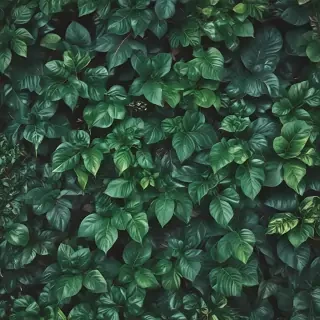 plants background iphone
