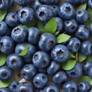 blueberry png