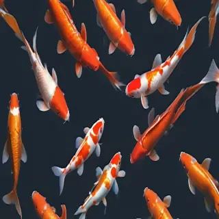 koi fish png