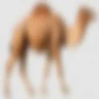 camel png
