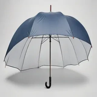 umbrella transparent background