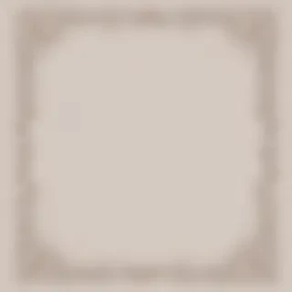 aesthetic border png