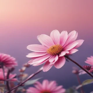 girly iphone backgrounds
