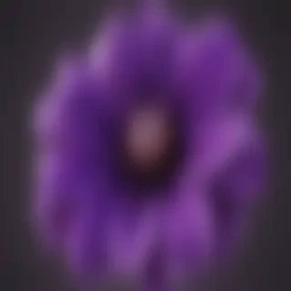 purple flower png