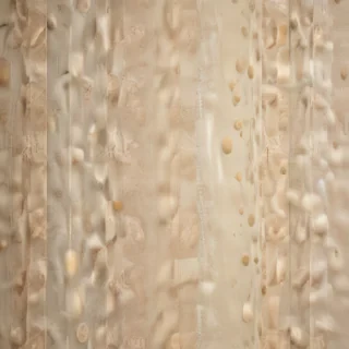 neutral colors background