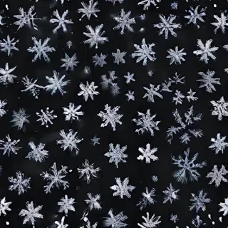 transparent snow png