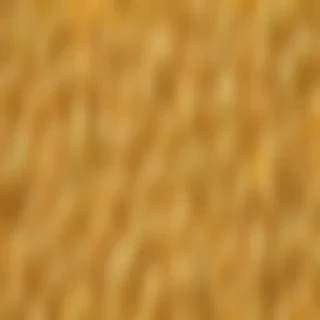 mac and cheese png