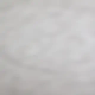picture of a circle