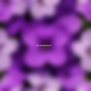 violet flower