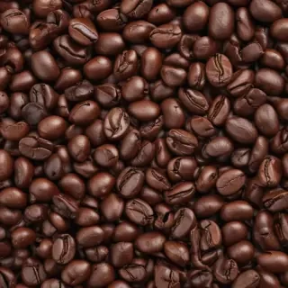 coffee bean png